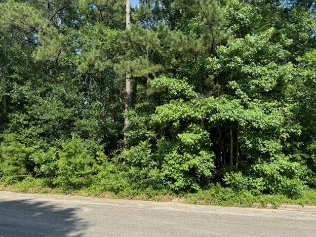 LOT17 Holly Ln, Jasper, TX 75951