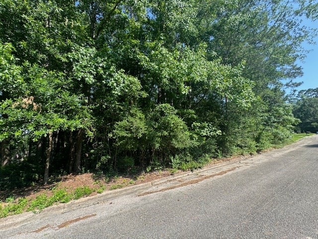 LOT17 Holly Ln, Jasper, TX 75951