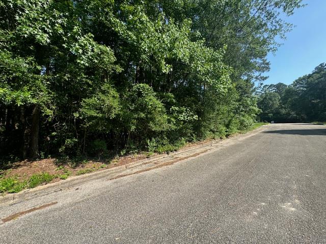 LOT17 Holly Ln, Jasper, TX 75951