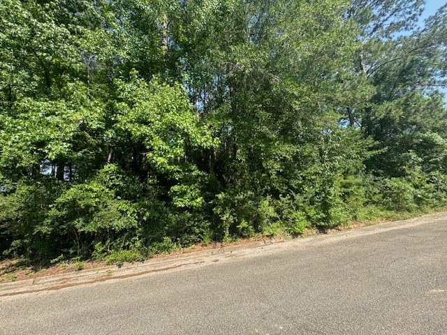 LOT17 Holly Ln, Jasper, TX 75951