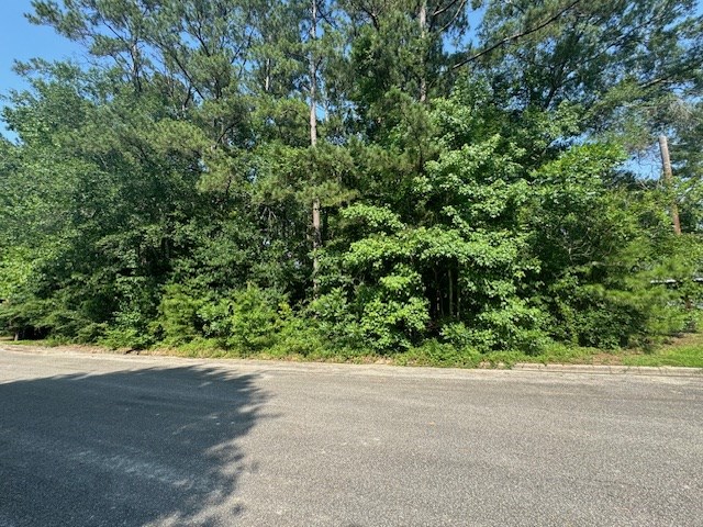 LOT17 Holly Ln, Jasper, TX 75951