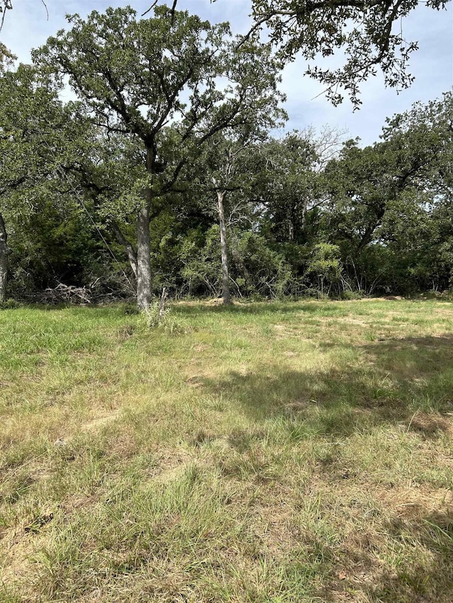 Listing photo 2 for TBD Cr 377, Marquez TX 77865