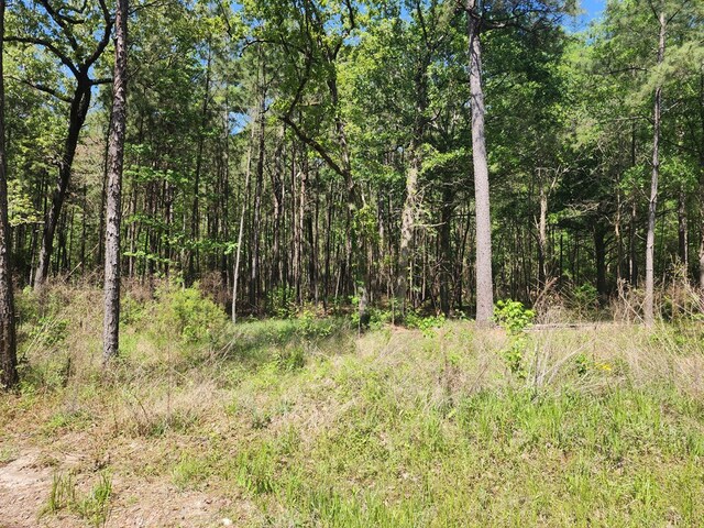 2.832AC Rr 255 W, Jasper, TX 75951 - photo 6