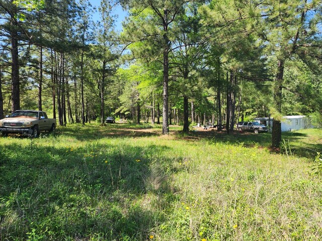 2.832AC Rr 255 W, Jasper, TX 75951 - photo 3