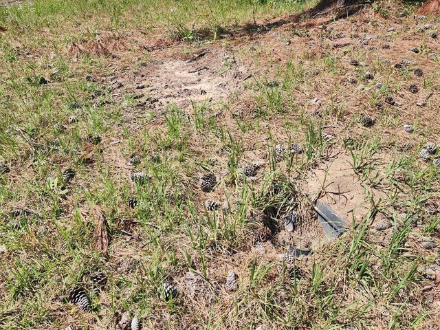 2.832AC Rr 255 W, Jasper, TX 75951 - photo 9
