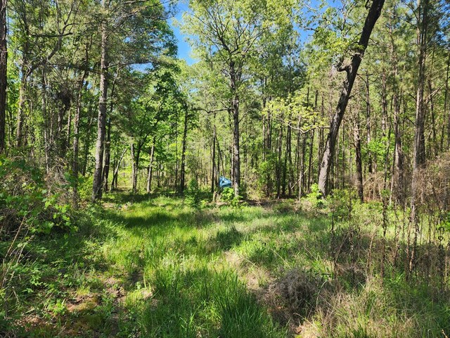 2.832AC Rr 255 W, Jasper, TX 75951 - photo 10