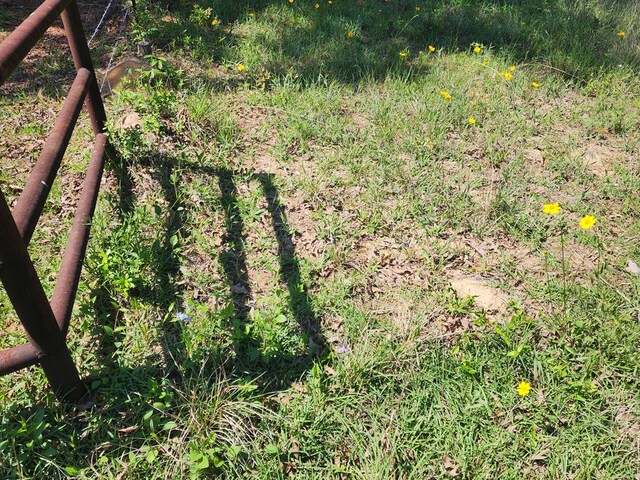 2.832AC Rr 255 W, Jasper, TX 75951 - photo 8