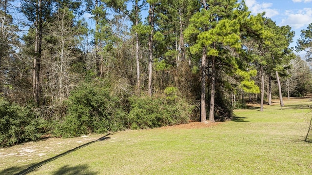 R110347 Fm 1194s, Lufkin, TX 75904 - photo 9
