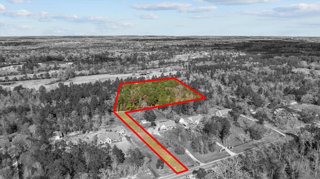 R110347 Fm 1194s, Lufkin, TX 75904 - photo 1