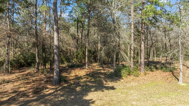 R110347 Fm 1194s, Lufkin, TX 75904 - photo 10