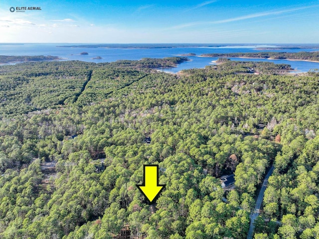 drone / aerial view featuring a water view and a view of trees