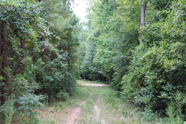 PID69934TR3 Duff Rd, Livingston, TX 77351