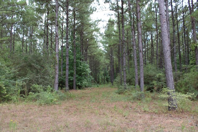 PID69934TR3 Duff Rd, Livingston, TX 77351