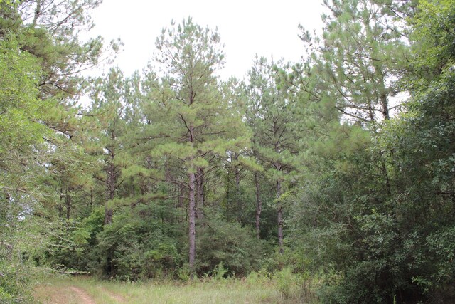 PID69934TR3 Duff Rd, Livingston, TX 77351