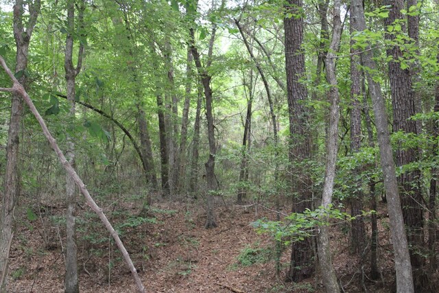 PID69934TR3 Duff Rd, Livingston, TX 77351