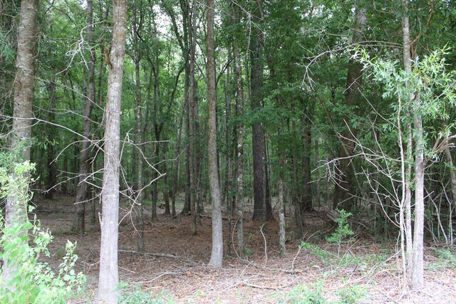 PID69934TR3 Duff Rd, Livingston, TX 77351