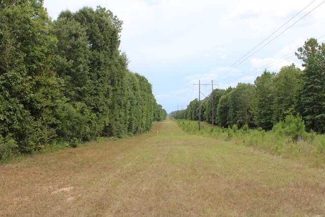 PID69934TR3 Duff Rd, Livingston, TX 77351