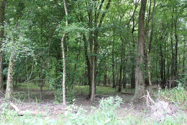 PID69934TR3 Duff Rd, Livingston, TX 77351