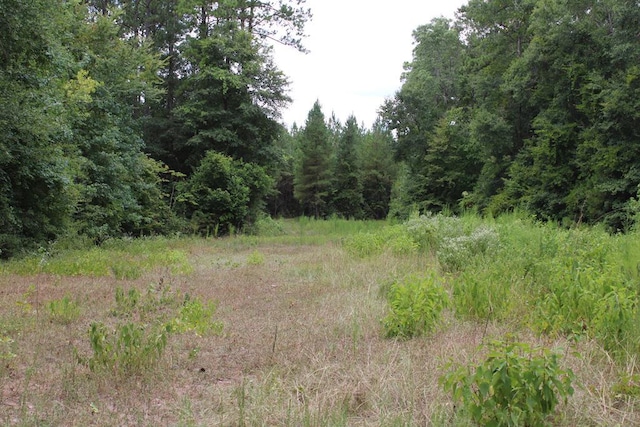 PID69934TR3 Duff Rd, Livingston, TX 77351