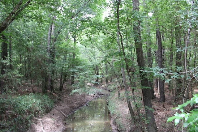PID69934TR3 Duff Rd, Livingston, TX 77351