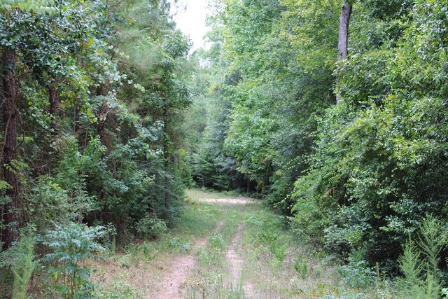 PID69934TR3 Duff Rd, Livingston, TX 77351