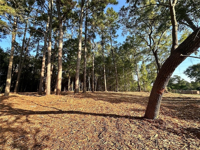 view of landscape