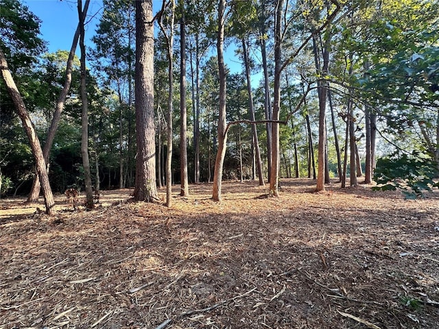 view of local wilderness