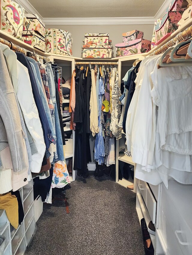 203 Bogey Ln, Brookeland, TX 75931 - spacious closet with carpet flooring