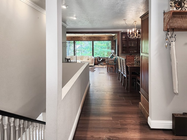 203 Bogey Ln, Brookeland, TX 75931 - corridor with ornamental molding, a chandelier, dark wood-type flooring, a textured ceiling, and a textured wall