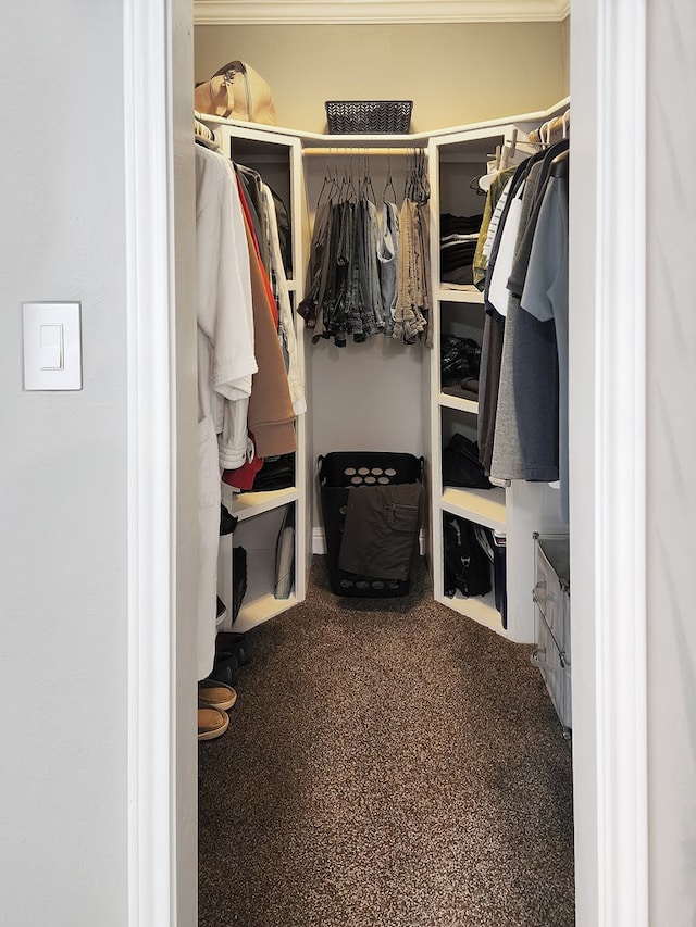 203 Bogey Ln, Brookeland, TX 75931 - view of walk in closet