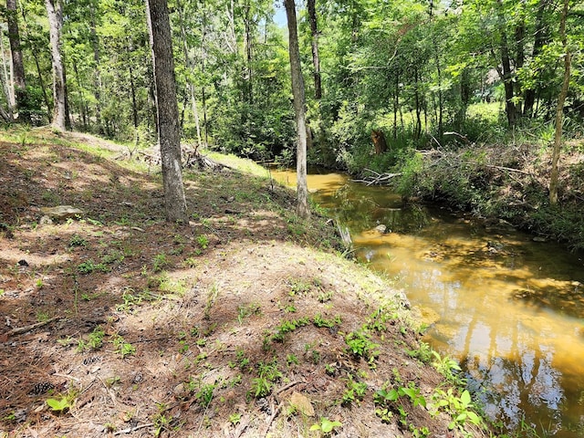 203 Bogey Ln, Brookeland, TX 75931 - view of nature