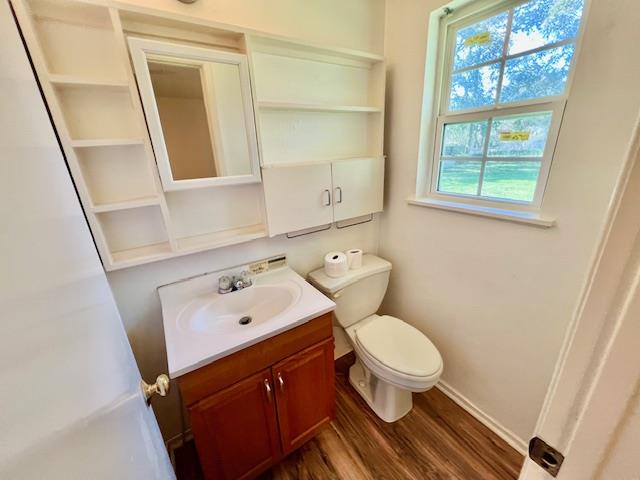 bathroom with vanity, toilet, and wood-type flooring