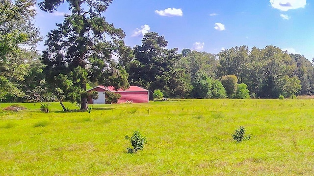 view of yard with a rural view