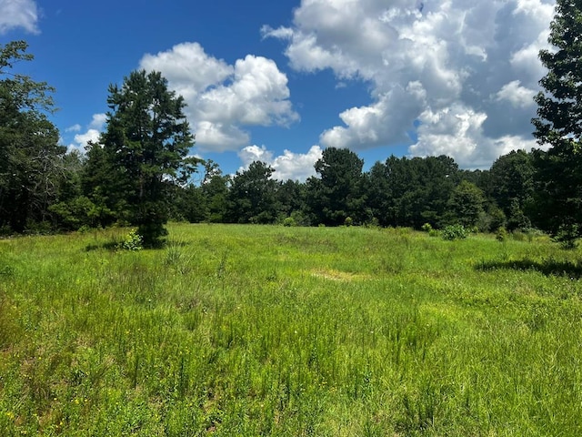 R13601 Thompson Rd, Pollok, TX 75969 - photo 13