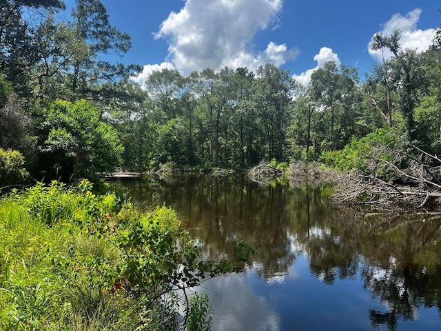 R13601 Thompson Rd, Pollok, TX 75969 - photo 8