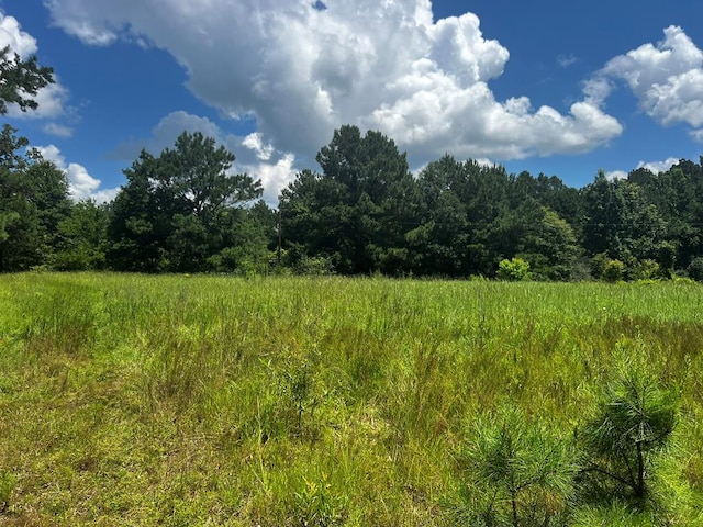 R13601 Thompson Rd, Pollok, TX 75969 - photo 7
