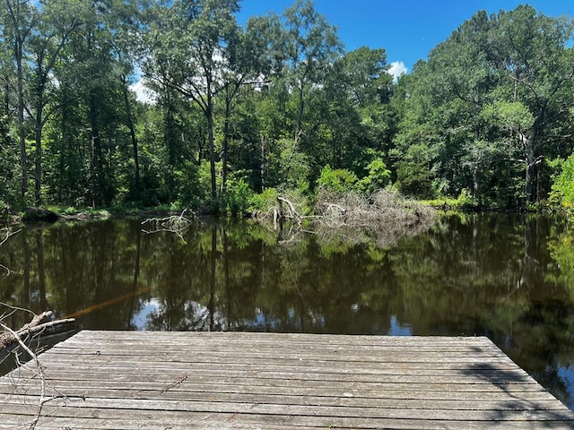 R13601 Thompson Rd, Pollok, TX 75969 - photo 11