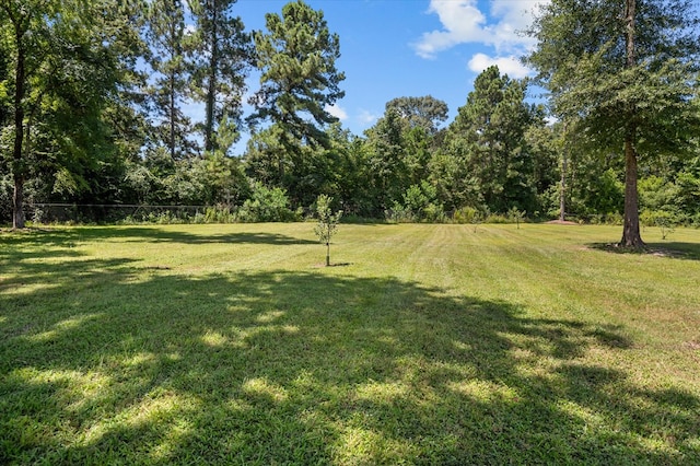 115 Dogwood Cir, Lufkin, TX 74904 - photo 7