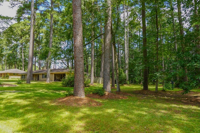 125 Beechwood St, Jasper, TX 75951 - photo 29