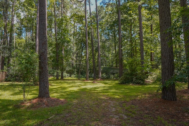 125 Beechwood St, Jasper, TX 75951 - photo 32