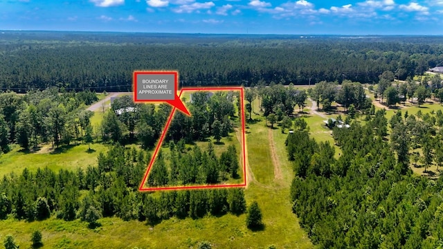 1065 Cc Rd, Diboll, TX 75941 - aerial overview of property's location with a heavily wooded area and property parcel outlined