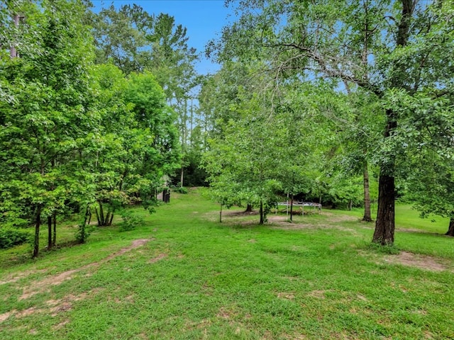 724 Westwood Loop, Lufkin, TX 75904 - photo 33