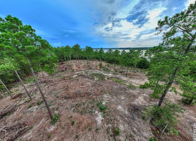 007 Fm 83, Broaddus, TX 75929 - photo 14