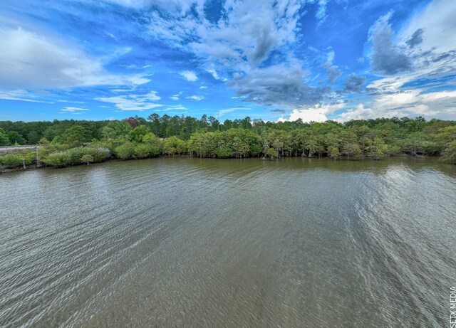 007 Fm 83, Broaddus, TX 75929 - photo 1
