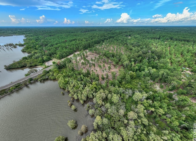 007 Fm 83, Broaddus, TX 75929 - photo 4