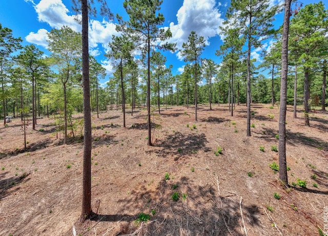 007 Fm 83, Broaddus, TX 75929 - photo 5