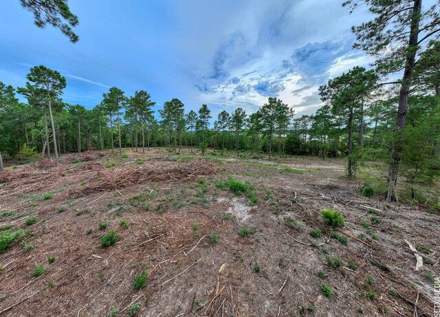 007 Fm 83, Broaddus, TX 75929 - photo 9