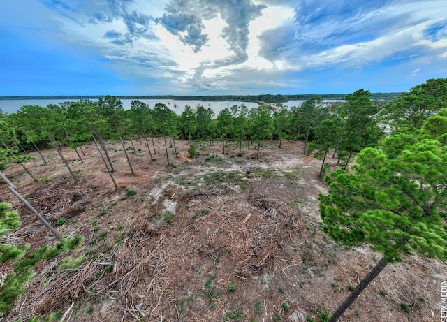 007 Fm 83, Broaddus, TX 75929 - photo 16