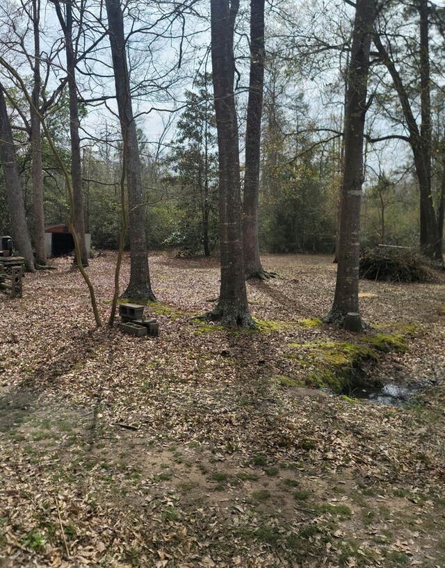 2540 Brentwood Dr, Lufkin, TX 75901 - view of yard