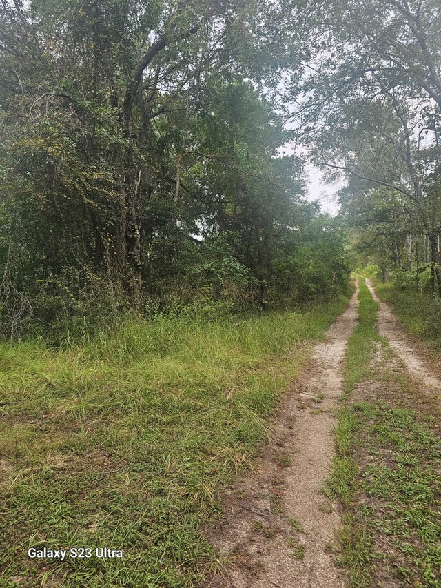 2540 Brentwood Dr, Lufkin, TX 75901 - view of road featuring a view of trees